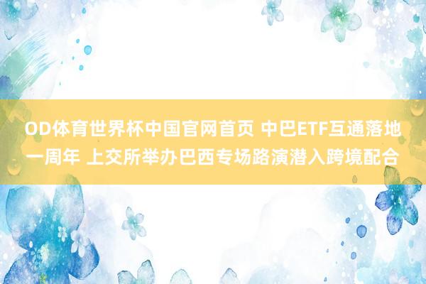 OD体育世界杯中国官网首页 中巴ETF互通落地一周年 上交所举办巴西专场路演潜入跨境配合