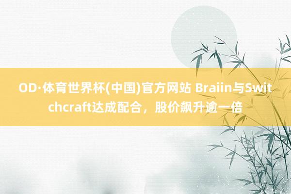 OD·体育世界杯(中国)官方网站 Braiin与Switchcraft达成配合，股价飙升逾一倍