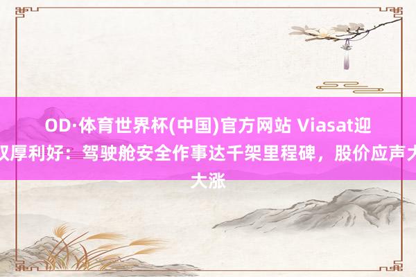 OD·体育世界杯(中国)官方网站 Viasat迎来双厚利好：驾驶舱安全作事达千架里程碑，股价应声大涨