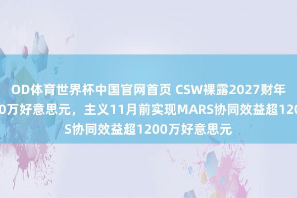 OD体育世界杯中国官网首页 CSW裸露2027财年利息支拨4600万好意思元，主义11月前实现MARS协同效益超1200万好意思元