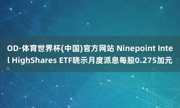 OD·体育世界杯(中国)官方网站 Ninepoint Intel HighShares ETF晓示月度派息每股0.275加元