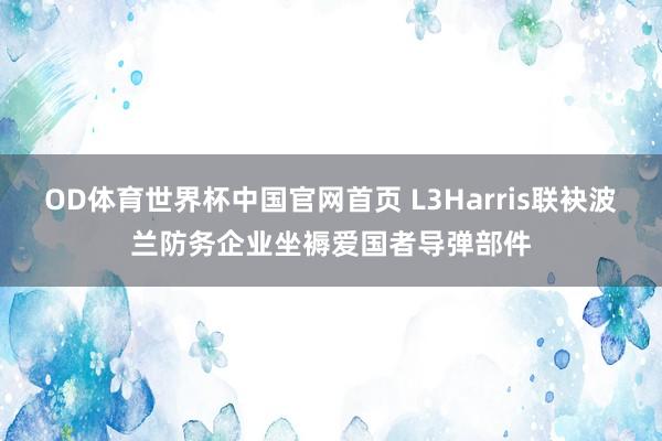 OD体育世界杯中国官网首页 L3Harris联袂波兰防务企业坐褥爱国者导弹部件