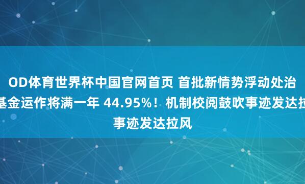 OD体育世界杯中国官网首页 首批新情势浮动处治费基金运作将满一年 44.95%！机制校阅鼓吹事迹发达拉风