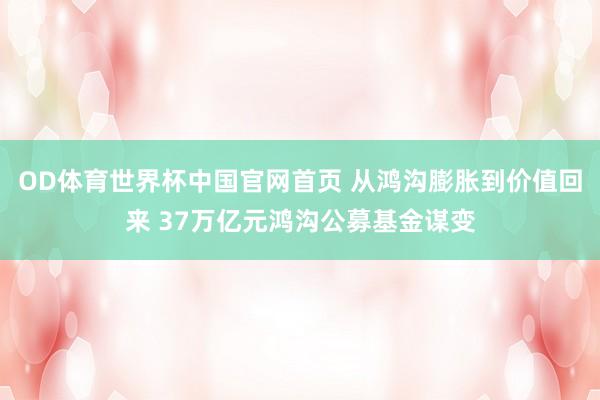 OD体育世界杯中国官网首页 从鸿沟膨胀到价值回来 37万亿元鸿沟公募基金谋变