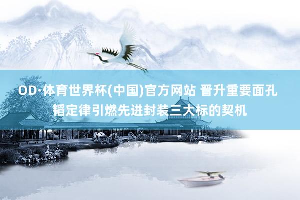 OD·体育世界杯(中国)官方网站 晋升重要面孔 韬定律引燃先进封装三大标的契机