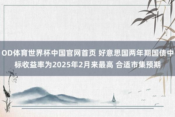 OD体育世界杯中国官网首页 好意思国两年期国债中标收益率为2025年2月来最高 合适市集预期