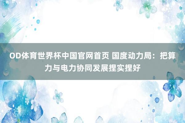 OD体育世界杯中国官网首页 国度动力局：把算力与电力协同发展捏实捏好