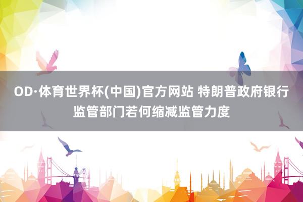 OD·体育世界杯(中国)官方网站 特朗普政府银行监管部门若何缩减监管力度