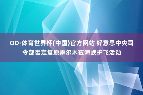 OD·体育世界杯(中国)官方网站 好意思中央司令部否定复原霍尔木兹海峡护飞活动