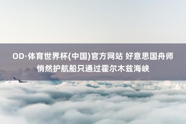 OD·体育世界杯(中国)官方网站 好意思国舟师悄然护航船只通过霍尔木兹海峡