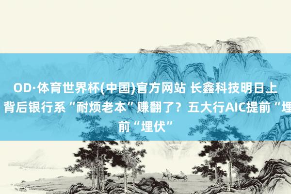 OD·体育世界杯(中国)官方网站 长鑫科技明日上会，背后银行系“耐烦老本”赚翻了？五大行AIC提前“埋伏”
