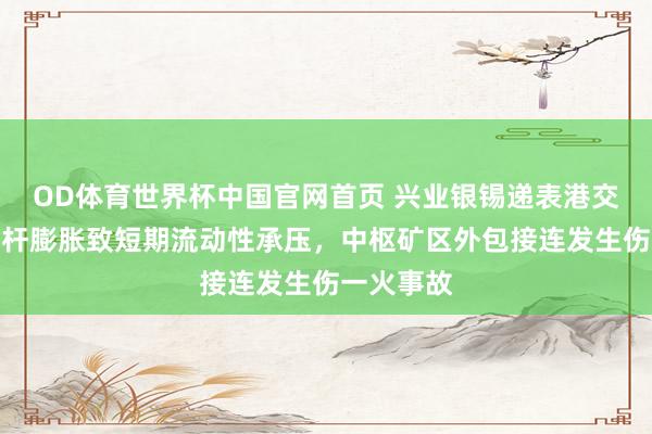 OD体育世界杯中国官网首页 兴业银锡递表港交所：高杠杆膨胀致短期流动性承压，中枢矿区外包接连发生伤一火事故