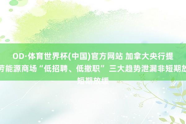 OD·体育世界杯(中国)官方网站 加拿大央行提醒劳能源商场“低招聘、低撤职” 三大趋势泄漏非短期放缓