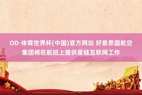 OD·体育世界杯(中国)官方网站 好意思国航空集团将在航班上提供星链互联网工作