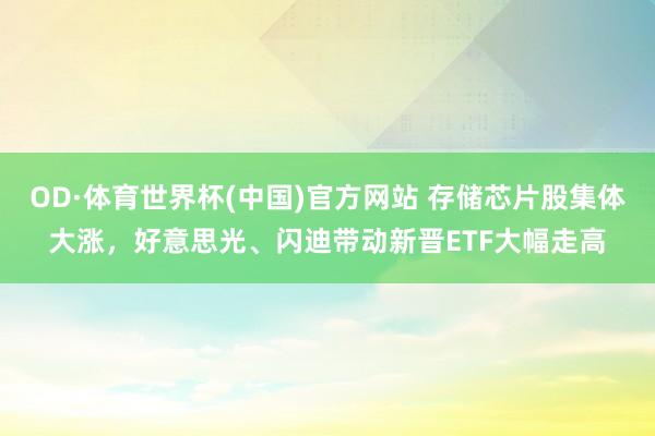 OD·体育世界杯(中国)官方网站 存储芯片股集体大涨,好意思光、闪迪带动新晋ETF大幅走高