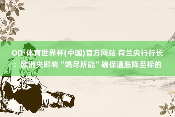 OD·体育世界杯(中国)官方网站 荷兰央行行长：欧洲央即将“竭尽所能”确保通胀降至标的