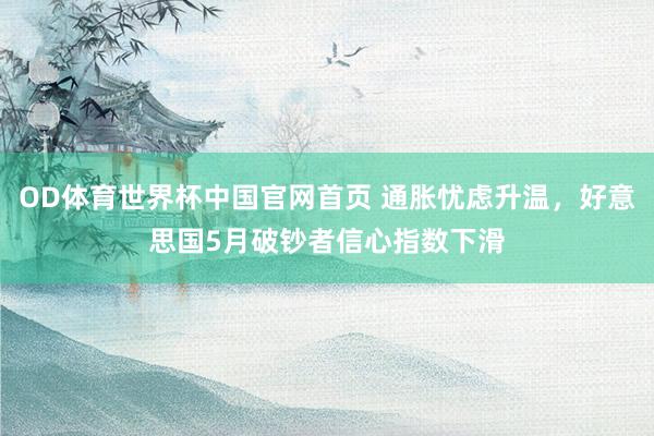 OD体育世界杯中国官网首页 通胀忧虑升温，好意思国5月破钞者信心指数下滑