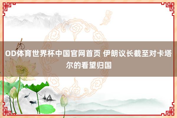 OD体育世界杯中国官网首页 伊朗议长截至对卡塔尔的看望归国