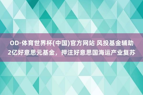 OD·体育世界杯(中国)官方网站 风投基金辅助2亿好意思元基金，押注好意思国海运产业复苏