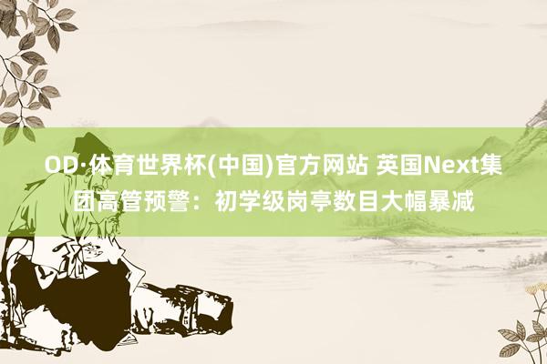 OD·体育世界杯(中国)官方网站 英国Next集团高管预警:初学级岗亭数目大幅暴减
