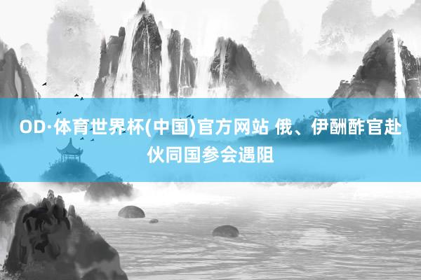 OD·体育世界杯(中国)官方网站 俄、伊酬酢官赴伙同国参会遇阻