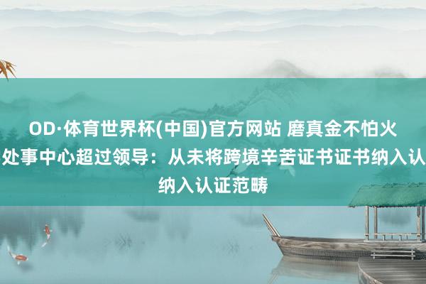 OD·体育世界杯(中国)官方网站 磨真金不怕火部留学处事中心超过领导:从未将跨境辛苦证书证书纳入认证范畴
