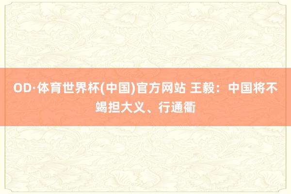OD·体育世界杯(中国)官方网站 王毅：中国将不竭担大义、行通衢