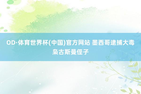 OD·体育世界杯(中国)官方网站 墨西哥逮捕大毒枭古斯曼侄子