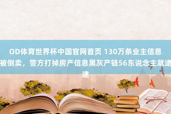 OD体育世界杯中国官网首页 130万条业主信息被倒卖,警方打掉房产信息黑灰产链56东说念主就逮