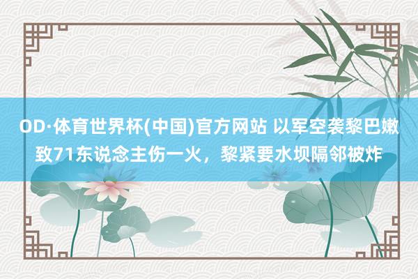 OD·体育世界杯(中国)官方网站 以军空袭黎巴嫩致71东说念主伤一火,黎紧要水坝隔邻被炸