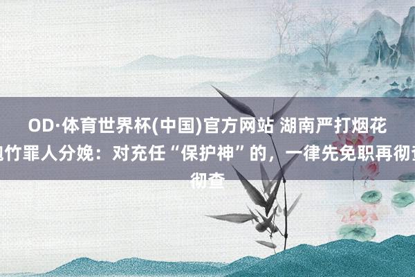 OD·体育世界杯(中国)官方网站 湖南严打烟花炮竹罪人分娩:对充任“保护神”的,一律先免职再彻查