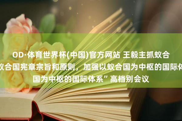 OD·体育世界杯(中国)官方网站 王毅主抓蚁合国安答理“调理蚁合国宪章宗旨和原则，加强以蚁合国为中枢的国际体系”高档别会议