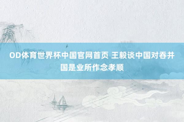 OD体育世界杯中国官网首页 王毅谈中国对吞并国是业所作念孝顺