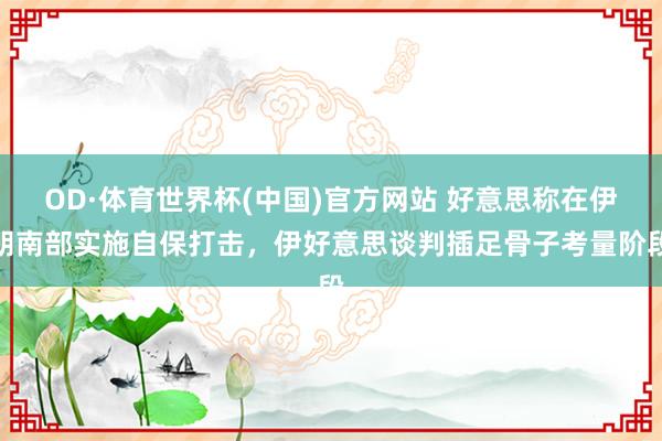 OD·体育世界杯(中国)官方网站 好意思称在伊朗南部实施自保打击，伊好意思谈判插足骨子考量阶段