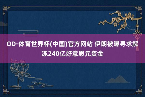 OD·体育世界杯(中国)官方网站 伊朗被曝寻求解冻240亿好意思元资金