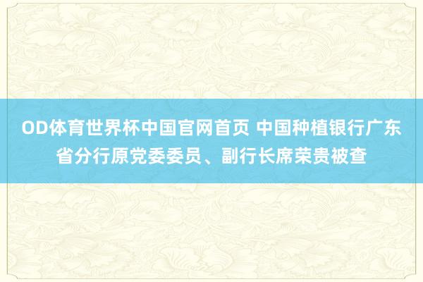 OD体育世界杯中国官网首页 中国种植银行广东省分行原党委委员、副行长席荣贵被查