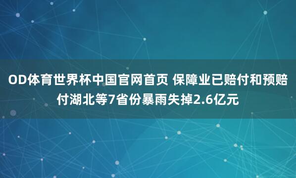 OD体育世界杯中国官网首页 保障业已赔付和预赔付湖北等7省份暴雨失掉2.6亿元