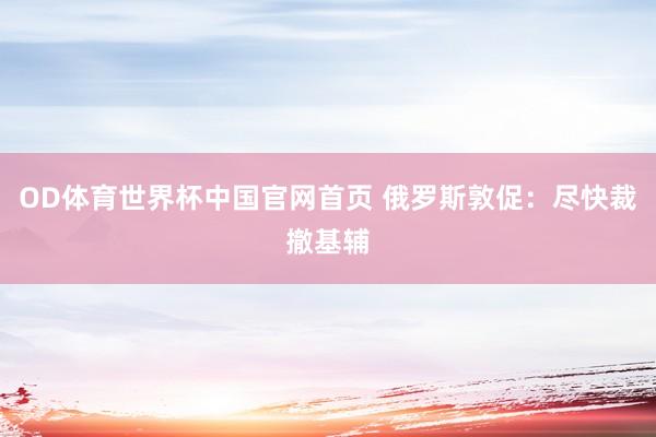 OD体育世界杯中国官网首页 俄罗斯敦促：尽快裁撤基辅