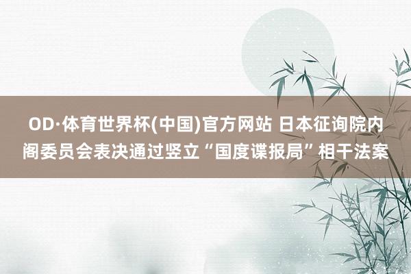 OD·体育世界杯(中国)官方网站 日本征询院内阁委员会表决通过竖立“国度谍报局”相干法案