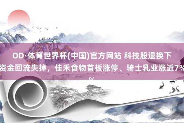 OD·体育世界杯(中国)官方网站 科技股退换下资金回流失掉，佳禾食物首板涨停、骑士乳业涨近7%
