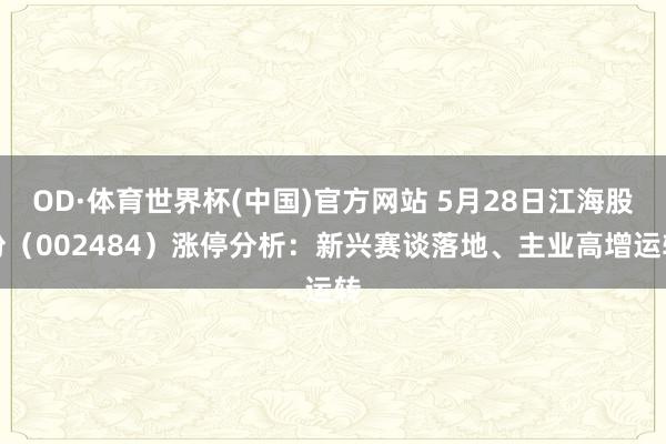 OD·体育世界杯(中国)官方网站 5月28日江海股份（002484）涨停分析：新兴赛谈落地、主业高增运转