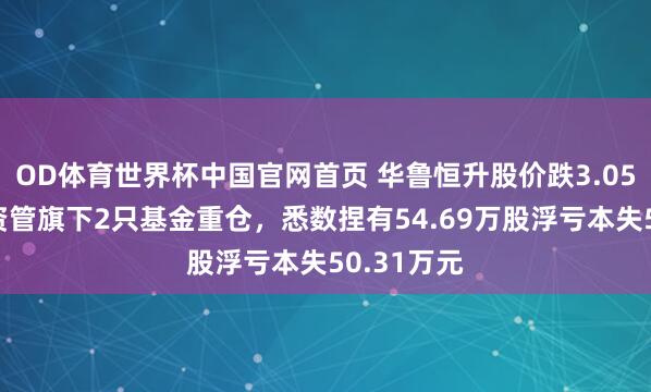OD体育世界杯中国官网首页 华鲁恒升股价跌3.05%,兴证资管旗下2只基金重仓,悉数捏有54.69万股浮亏本失50.31万元