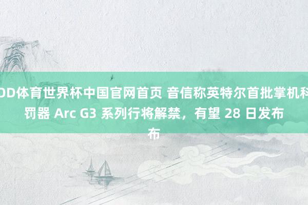 OD体育世界杯中国官网首页 音信称英特尔首批掌机科罚器 Arc G3 系列行将解禁，有望 28 日发布