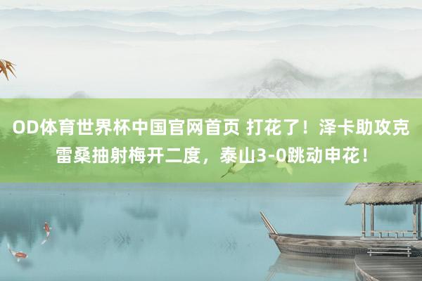 OD体育世界杯中国官网首页 打花了！泽卡助攻克雷桑抽射梅开二度，泰山3-0跳动申花！