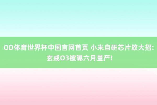 OD体育世界杯中国官网首页 小米自研芯片放大招: 玄戒O3被曝六月量产!