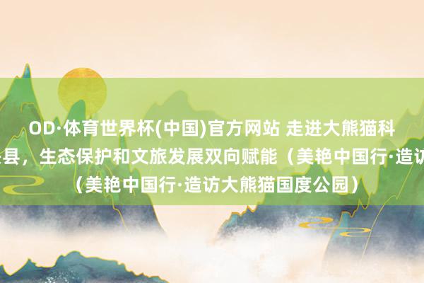OD·体育世界杯(中国)官方网站 走进大熊猫科学发现地四川宝兴县，生态保护和文旅发展双向赋能（美艳中国行·造访大熊猫国度公园）