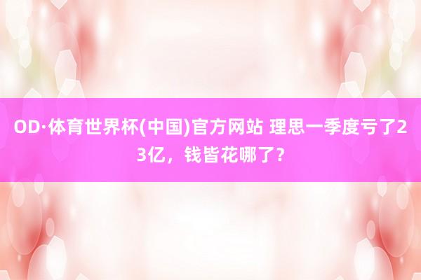 OD·体育世界杯(中国)官方网站 理思一季度亏了23亿，钱皆花哪了？