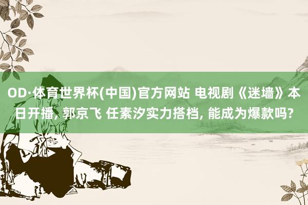 OD·体育世界杯(中国)官方网站 电视剧《迷墙》本日开播, 郭京飞 任素汐实力搭档, 能成为爆款吗?