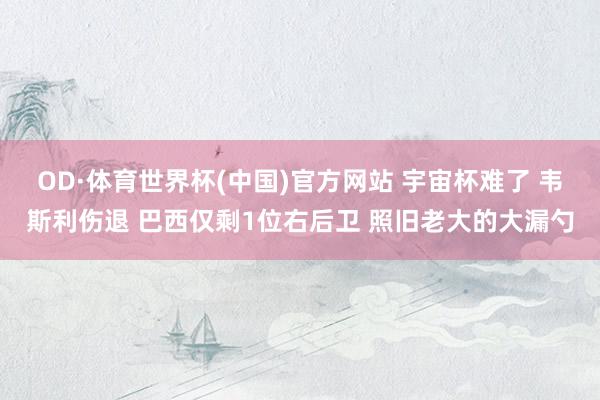 OD·体育世界杯(中国)官方网站 宇宙杯难了 韦斯利伤退 巴西仅剩1位右后卫 照旧老大的大漏勺
