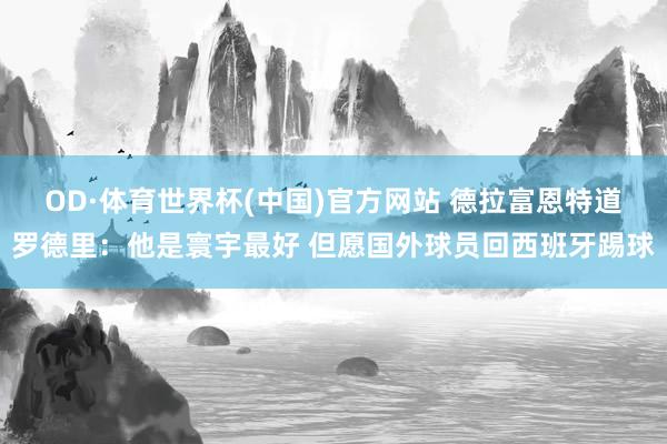 OD·体育世界杯(中国)官方网站 德拉富恩特道罗德里:他是寰宇最好 但愿国外球员回西班牙踢球